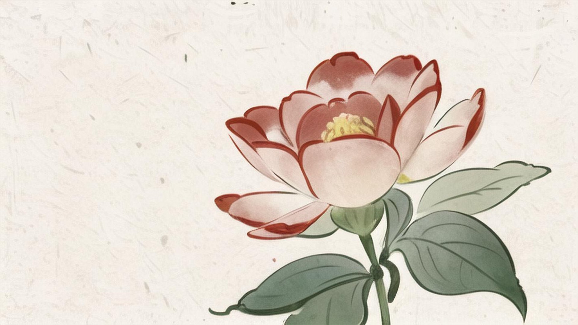 永恒之花鲜花